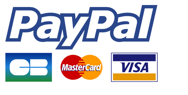 Paypal_2014_(logo).png